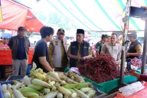 Wagub Jambi Pastikan Harga dan Stok Pangan Stabil Jelang Iduladha